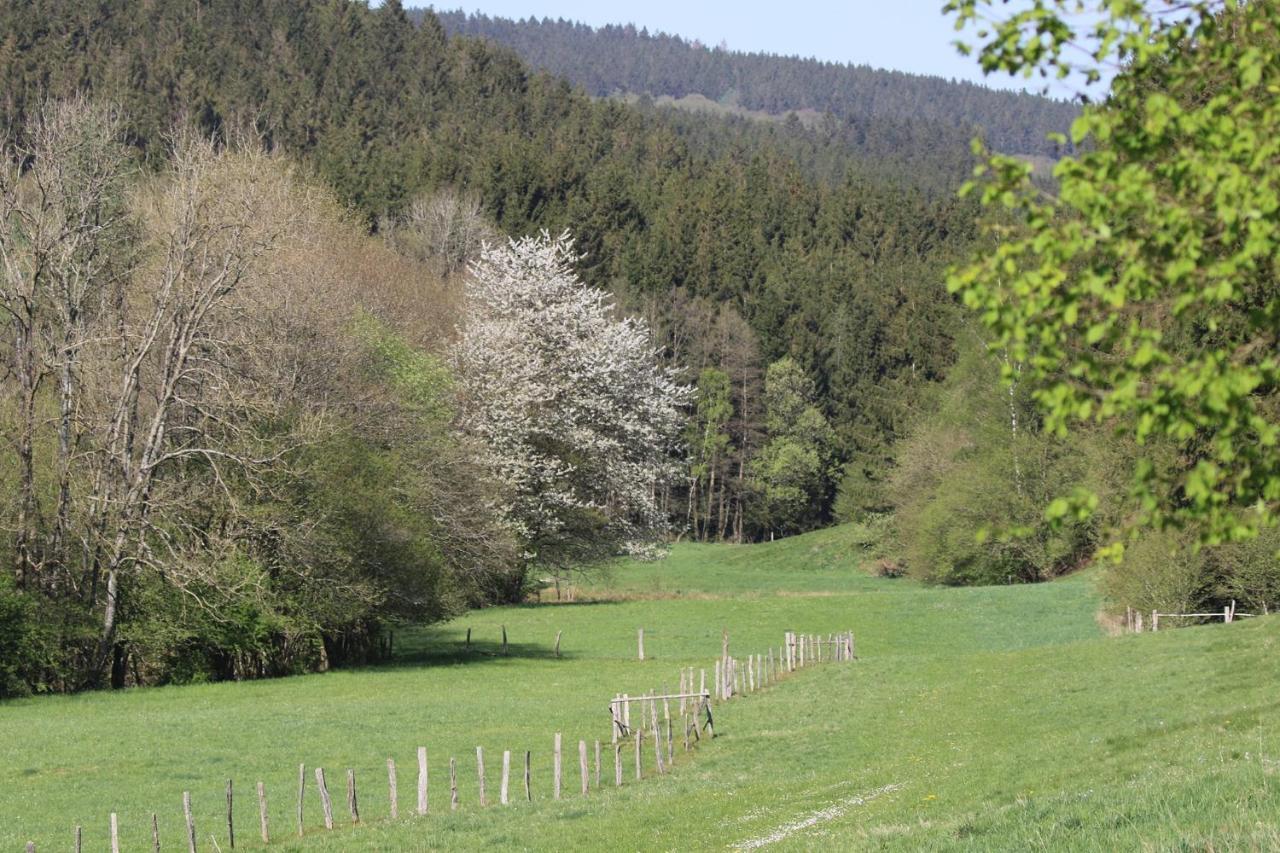 Le Clos Du Cerf - Le Sous-Bois Stoumont Dış mekan fotoğraf