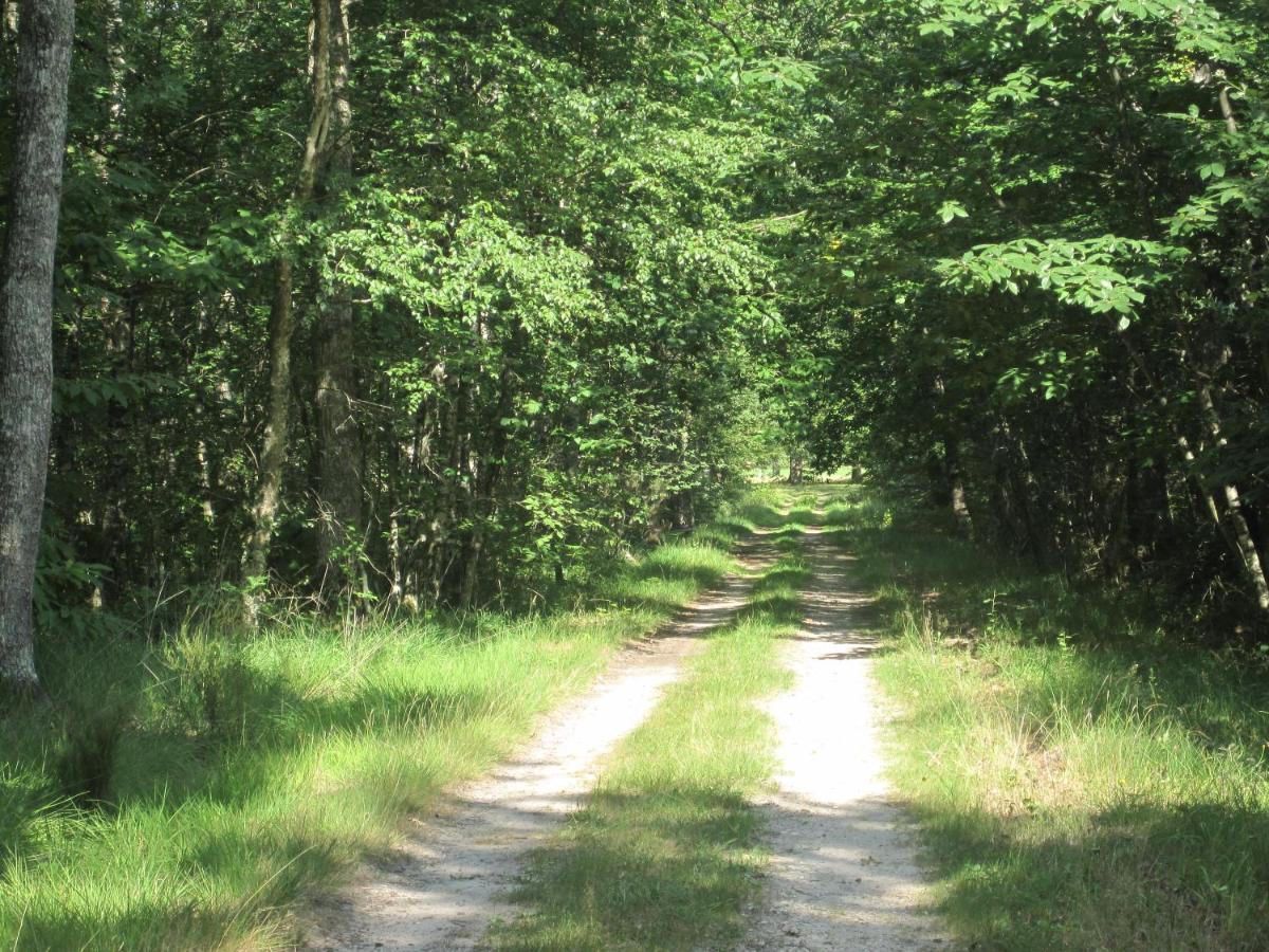 Le Clos Du Cerf - Le Sous-Bois Stoumont Dış mekan fotoğraf