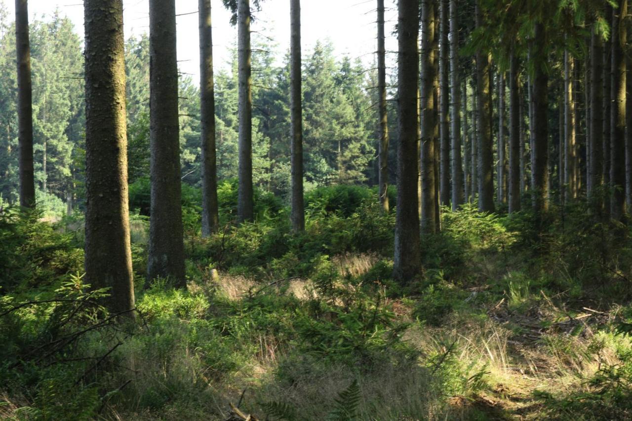 Le Clos Du Cerf - Le Sous-Bois Stoumont Dış mekan fotoğraf