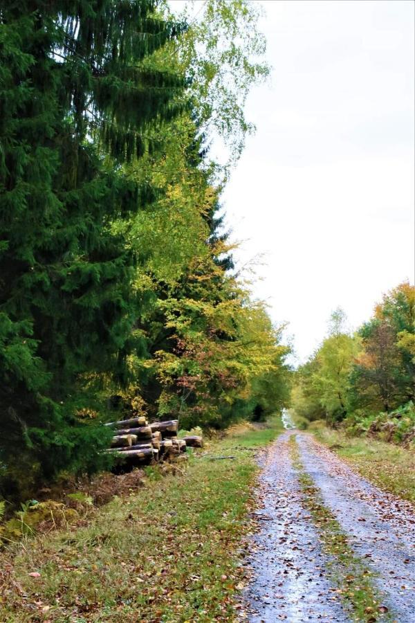 Le Clos Du Cerf - Le Sous-Bois Stoumont Dış mekan fotoğraf