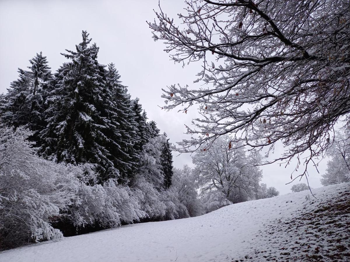 Le Clos Du Cerf - Le Sous-Bois Stoumont Dış mekan fotoğraf